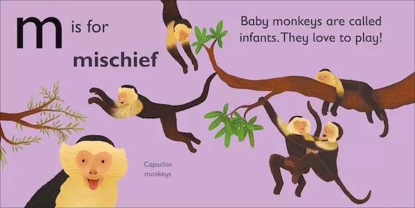 Inside Spread for M is for Monkey