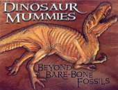 Dinosaur Mummies: Beyond Bare-Bone Fossils