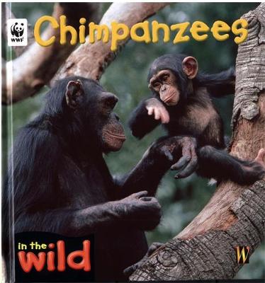 In The Wild: Chimpanzees