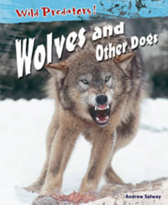 Wild Predators! Pack A Of 5