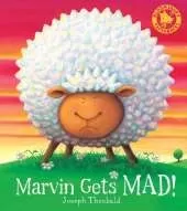 Marvin Gets MAD!