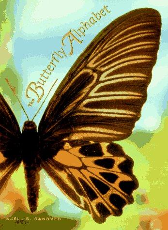 Butterfly Alphabet