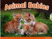 Bug Club Red B (KS1) Animal Babies 6-pack