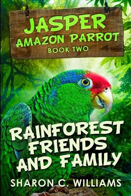 Rainforest Friends And Family: Large Print Edition