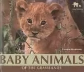Baby Animals of the Grasslands