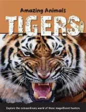 Amazing Animals: Tigers
