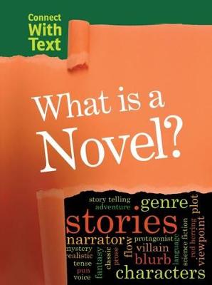 What is a Novel?