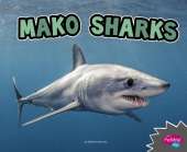 All About Sharks Mako Sharks