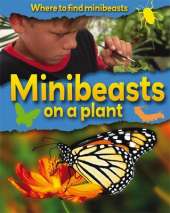 Where to Find Minibeasts: Minibeasts on a Plant
