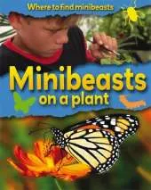 Where to Find Minibeasts: Minibeasts on a Plant