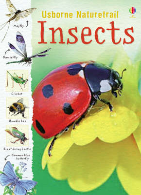 Nature Trail: Insects