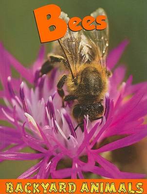 Bees