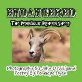 Endangered--The Peninsular Bighorn Sheep