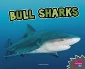 All About Sharks Bull Sharks
