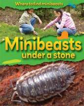 Where to Find Minibeasts: Minibeasts Under a Stone
