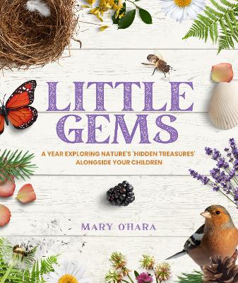 Little Gems: A Year Exploring Nature's 'Hidden Treasures' Alongside Your Children