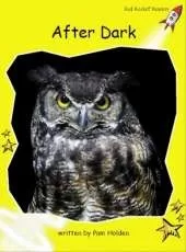 Red Rocket Readers: Early Level 2 Non-Fiction Set B: After Dark
