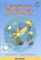 A Turtle's Journey