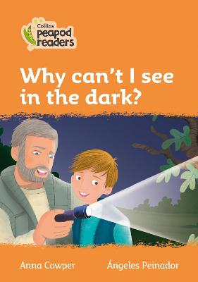 Level 4 - Why can't I see in the dark?