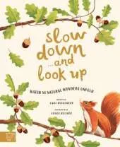 Slow Down... and Look Up: Find Calm As You Watch 50 Wonders of the Universe Unfold