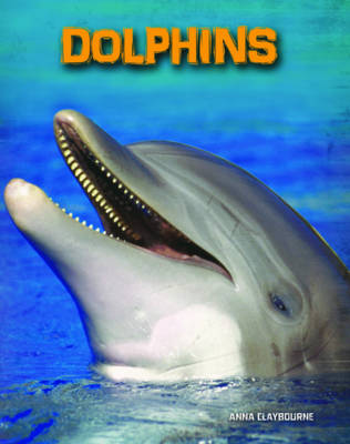 Dolphins