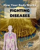 How Your Body Works: Fighting Diseases