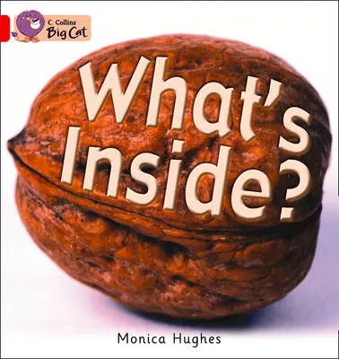 What's Inside?: Talking Books