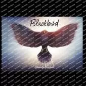 Blackbird