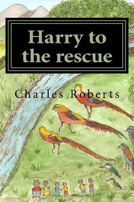Harry to the rescue