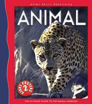 Animal Poster Book