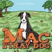 Mac the Stray Dog