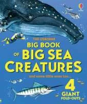 Big Book of Big Sea Creatures