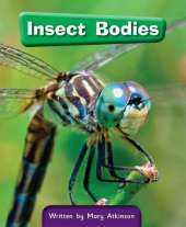 Insect Bodies