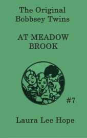 The Bobbsey Twins at Meadow Brook: A Classic Bobbsey Twins Adventure of Family and Discovery