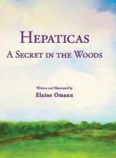 Hepaticas: A Secret in the Woods