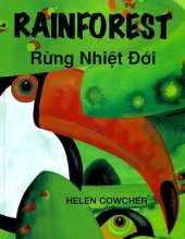 Rain Forest