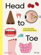 Head to Toe: An Introduction to the Human Body
