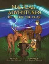 Magical Adventures of Teddy the Bear