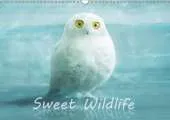 Sweet Wildlife / UK-Version / Birthday Calendar 2017: The Funny and Sweet Animal Calendar for Old and Young