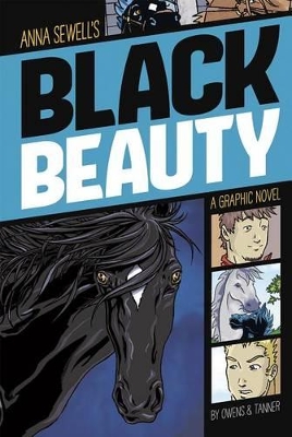 Graphic Revolve Common Core Editions Black Beauty