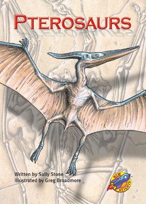 Pterosaurs