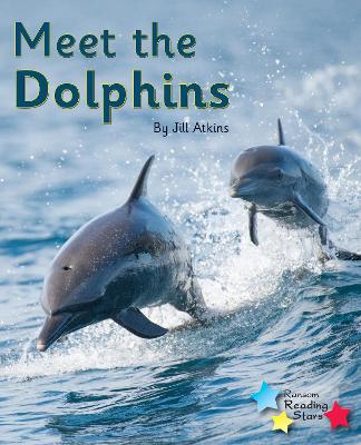 Meet the Dolphins: Phonics Phase 5