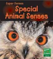 Animal Senses