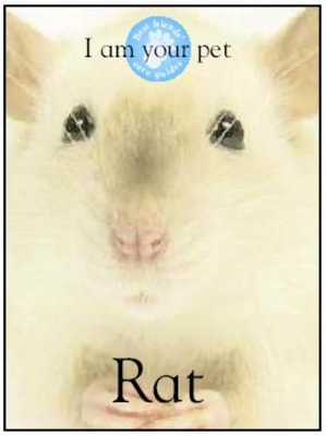 I am Your Pet Rat