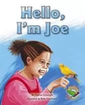 Hello, I'm Joe