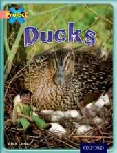 Project X: My Family: Ducks