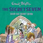 Good Old Secret Seven: Book 12