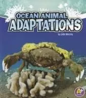 Amazing Animal Adaptations Ocean Animal Adaptations
