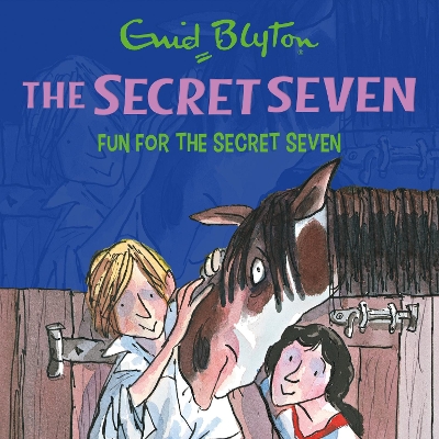 Fun For The Secret Seven: Book 15