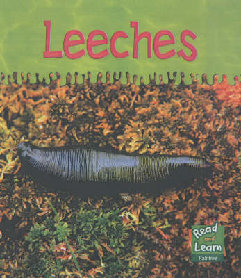 Read and Learn: Ooey-Gooey Animals - Leeches